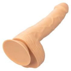 California Exotics Studs realistické dildo, 20,32 cm