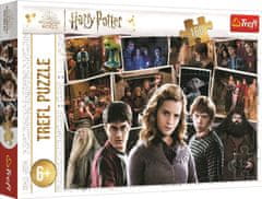 Trefl Puzzle Harry Potter s přáteli 160 dílků