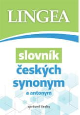 kolektiv autorů: Slovník českých synonym a antonym