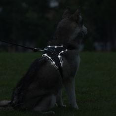 Petlove Single Led Postroj Pro Psy S Černý