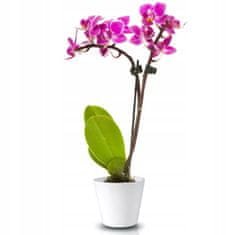 Polnix Keramický obal na orchideje 15 cm bílý
