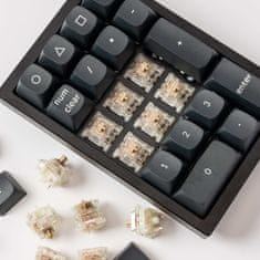 Gateron Baby Raccoon Linear Spínače 5 Pin Pre-lubed 110 ks