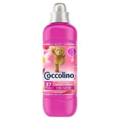 OEM Coccolino Creations Płyn Do Płukania Tkanin Tiare Flower &amp; Red Fruits 925Ml (37 prań)