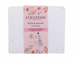 Kraftika 75ml loccitane cherry blossom growing box, sprchový gel