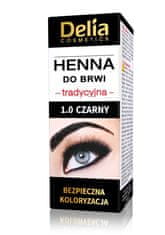 DELIA COSMETICS Henna na obočí 1.0 Black 1St