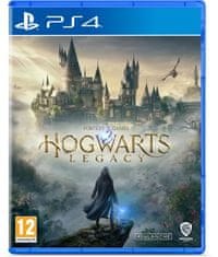 Warner Bros Hogwarts Legacy (PS4)