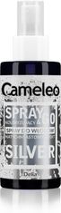 DELIA COSMETICS Cameleo Spray &amp; Go sprej na barvení vlasů Silver 150 ml