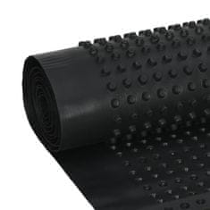 Vidaxl Nopové drenážní fólie 2 ks HDPE 400 g/m² 0,5 x 20 m