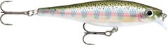 Rapala BX Minnow 10 