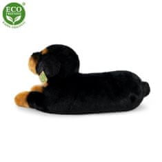 Rappa Plyšový pes rotvajler ležící 38 cm ECO-FRIENDLY