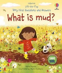 Usborne Very First Questions and Answers: What is mud?