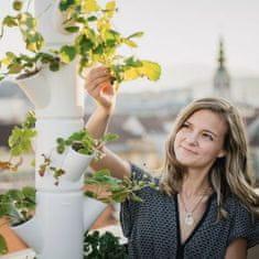 GUSTA GARDEN Jahodník, Květináč na Pěstování na balkoně, Květináč na Pěstování jahod, Jahody na balkoně | SISSI STRAWBERRY