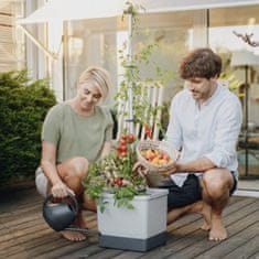 GUSTA GARDEN Hydroponický Hrneček Květináč pro Rychlý Růst Rajčat 35 x 29 x 25 cm (20 L) - TOM TOMATO