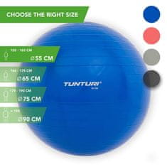 Tunturi Gymnastický míč 55 cm modrý