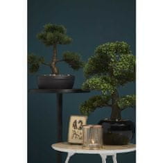 Petromila Emerald Umělý fíkus mini bonsai zelený 47 cm 420006