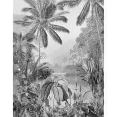 Petromila Komar Fototapeta Lac Tropical Black & White 200 x 270 cm