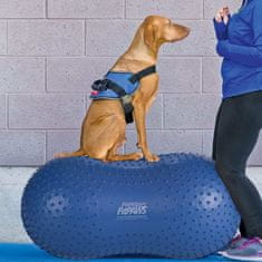 Greatstore FitPAWS Balanční plošina pro domácí mazlíčky Trax Peanut 60 cm modrá