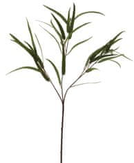 C7.cz Blahovičník - Eukalyptus zrno (spray) zelený V81 cm