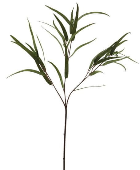 C7.cz Blahovičník - Eukalyptus zrno (spray) zelený V81 cm