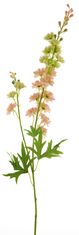 C7.cz Stračka (Ostrožka) - Delphinium 'Finn' (spray) růžová V85 cm (N934870)