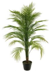 C7.cz Palma 'Areca' v květináči zelená V120 cm