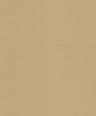Zlatá vliesová tapeta na zeď, A13319, Vavex 2025, 0,53 x 10,05 m