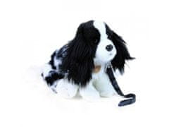Rappa Plyšový pes kavalier s vodítkem 27 cm