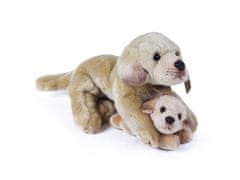 Rappa Plyšový pes labrador s mládětem ležící 25 cm