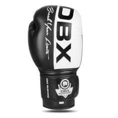 DBX BUSHIDO boxerské rukavice B-2v20 velikost 10 oz