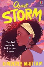 Usborne Quiet Storm