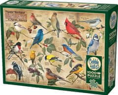 Cobble Hill Puzzle Ptáci ze severoamerických zahrad 1000 dílků