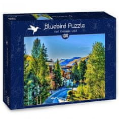 Blue Bird Puzzle Vail, Colorado 1000 dílků