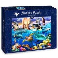 Blue Bird Puzzle Oceán života 1000 dílků