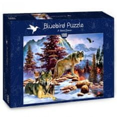 Blue Bird Puzzle Nový úsvit 1000 dílků