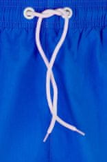 Amiatex Pánské plavky 199 blue + Ponožky Gatta Calzino Strech, světle modrá, L