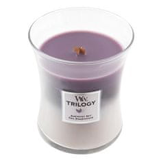 Woodwick Svíčka Trilogy , Ametystové nebe, 275 g