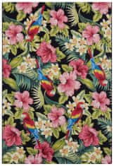 Hanse Home Kusový koberec Flair 105619 Tropical Feeling Multicolored – na ven i na doma 120x180