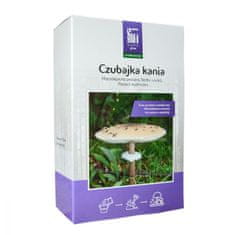 PLANTO Bedla vysoká (Macrolepiota procera) mycelium 750ml PO-SM-BV