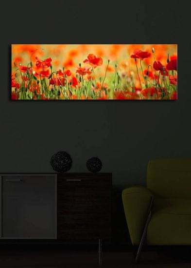 Hanah Home Obraz s led osvětlením Sean 90x30 cm