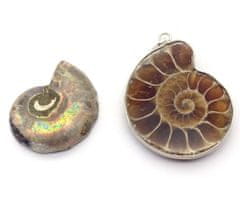 Kraftika 1ks hnědé žluté přírodní originální ammolite shell smíšené