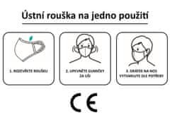 iprotect Rouška FFP1 z netkané textilie, 50 ks