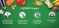 Gerber Kapsička organic ovocná mango a kdoule s kokosovým mlékem 80 g, 6+