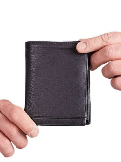 CEDAR Pánská vertikální černá kožená peněženka, 2016101764046