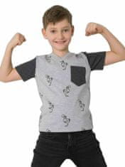 Kraftika Dodo kids šedé chlapecké tričko, velikost 110/116
