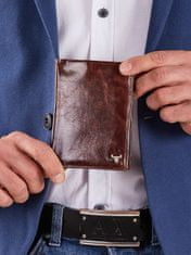 CEDAR Pánská hnědá kožená peněženka, 2016101699690