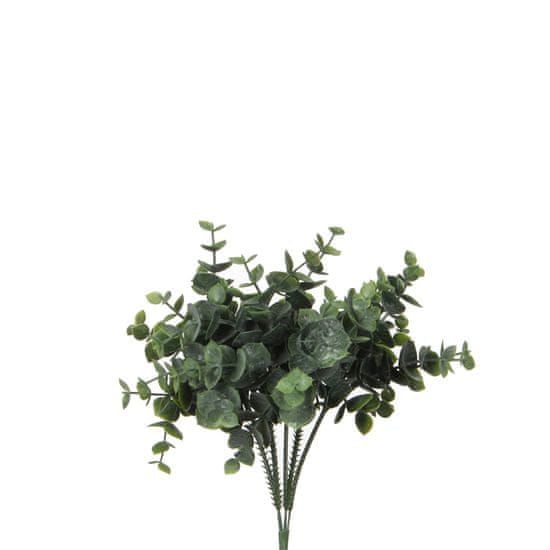 C7.cz Blahovičník - Eukalyptus zelená délka 20 cm (A1021008)