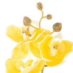 AmeliaHome Umělá květina FALENI žlutá
