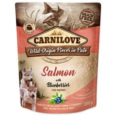 Carnilove Kapsička CARNILOVE Puppy Paté Salmon with Blueberries 300 g