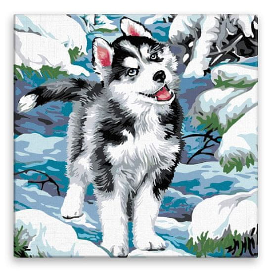 Malujsi Malování podle čísel - Husky - 40x40 cm, plátno vypnuté na rám