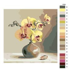 Malujsi Malování podle čísel - Orchidej - 80x80 cm, plátno vypnuté na rám